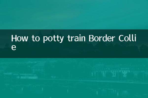 Come addestrare il Border Collie a usare il vasino