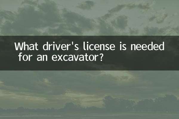 굴삭기에는 어떤 운전 면허증이 필요합니까?