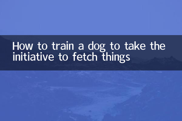 Come addestrare un cane a prendere l'iniziativa per andare a prendere le cose