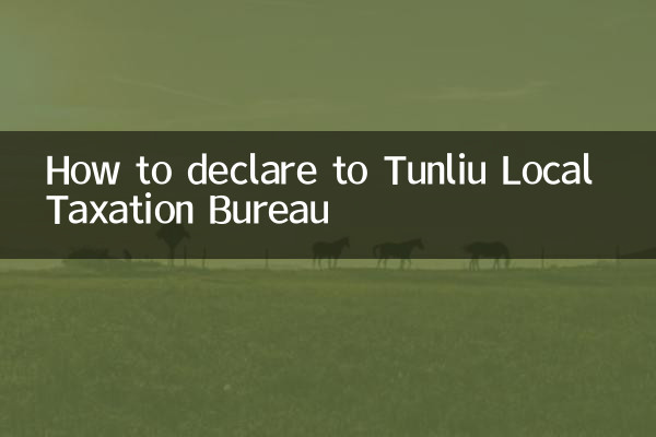 屯留地税局怎么申报