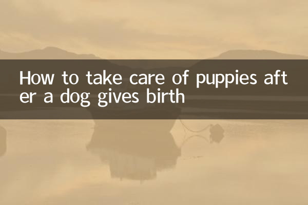كيفية رعاية كلبة تلد الجراء
