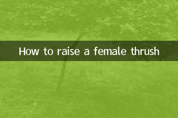 Wie man eine weibliche Drossel züchtet