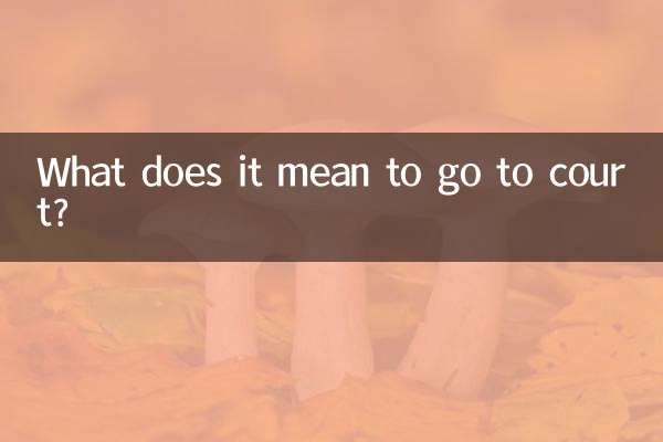 कोर्ट जाने का क्या मतलब है?