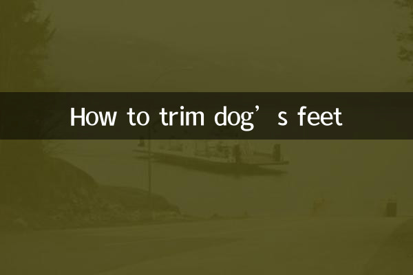 狗狗脚脚怎么修毛