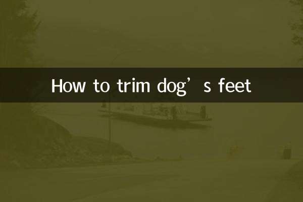 狗狗脚脚怎么修毛