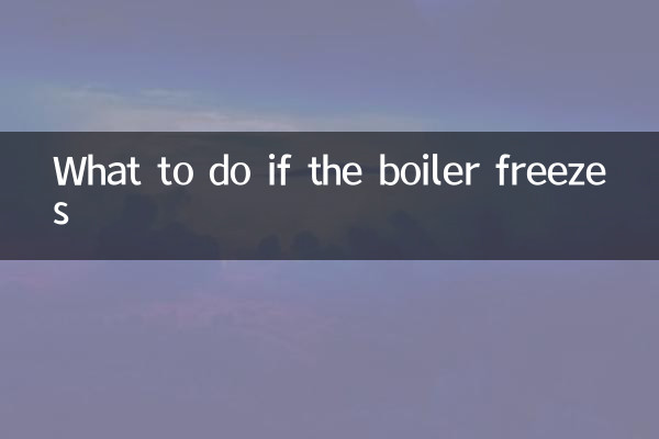 What to do if the boiler freezes