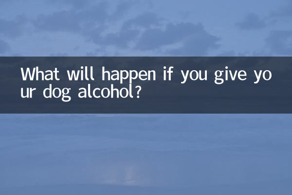 What will happen if you give your dog alcohol?