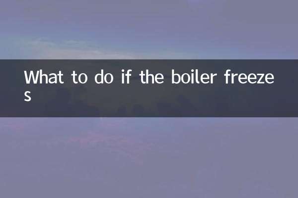 What to do if the boiler freezes