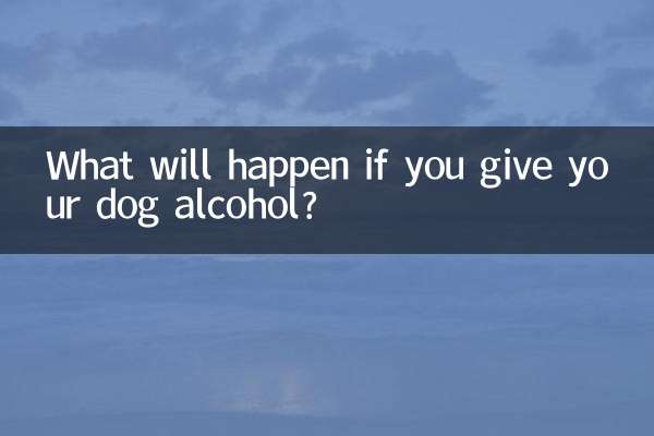 What will happen if you give your dog alcohol?