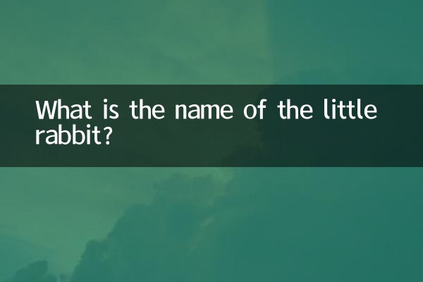 ما هو اسم الارنب الصغير ؟