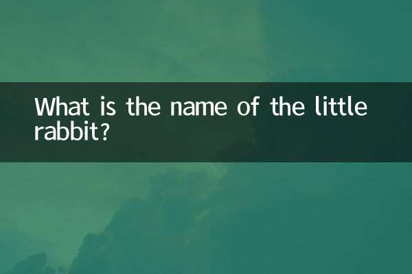 ما هو اسم الارنب الصغير ؟