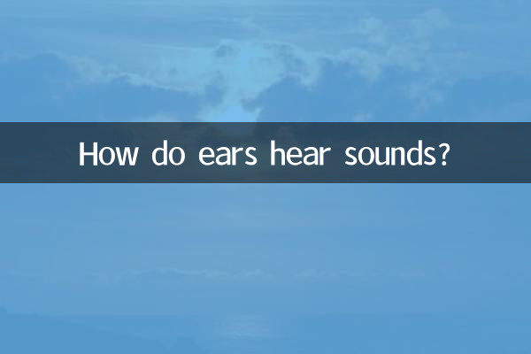 Comment les oreilles entendent-elles les sons ?