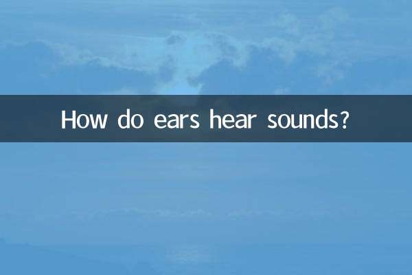 कान ध्वनियाँ कैसे सुनते हैं?