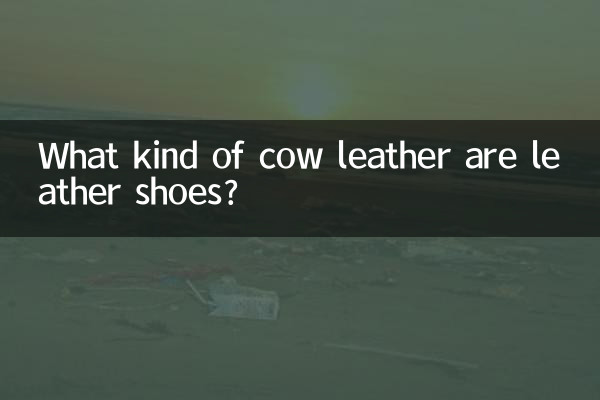 أي نوع من جلد البقر هي الأحذية الجلدية؟