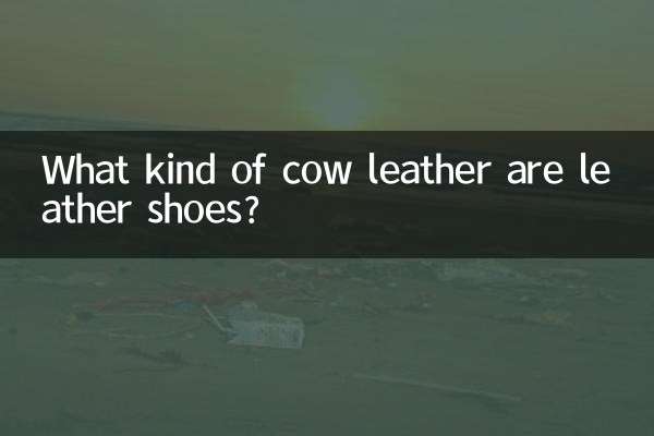 أي نوع من جلد البقر هي الأحذية الجلدية؟