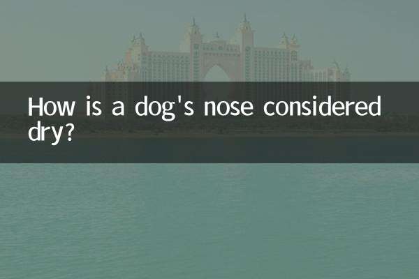 犬の鼻はどうして乾いていると考えられるのでしょうか？