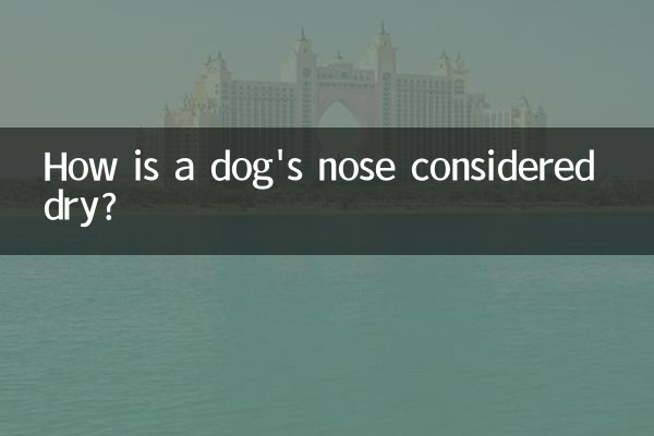 犬の鼻はどうして乾いていると考えられるのでしょうか?