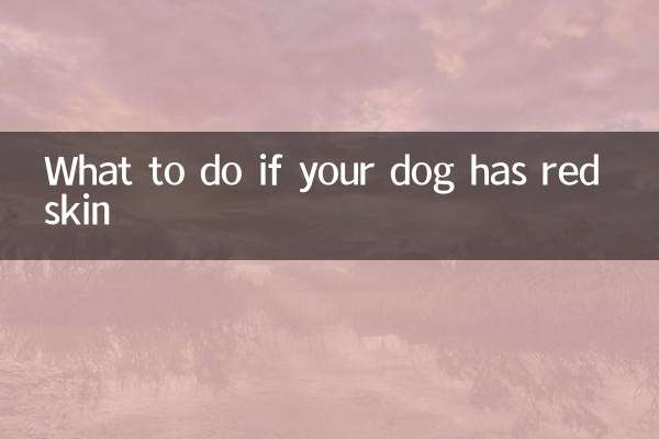 Que faire si votre chien a la peau rouge