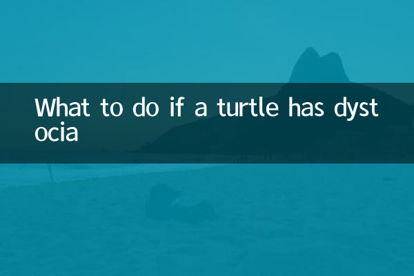 烏龜難產怎麼辦