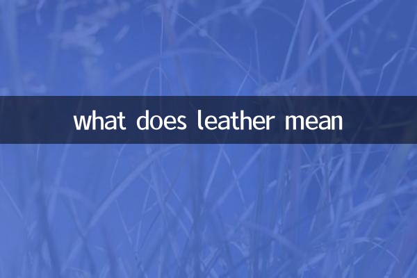 皮革是什麼意思