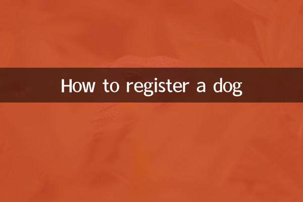 怎么给狗狗上户口