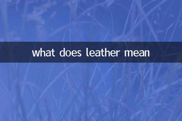 皮革是什么意思