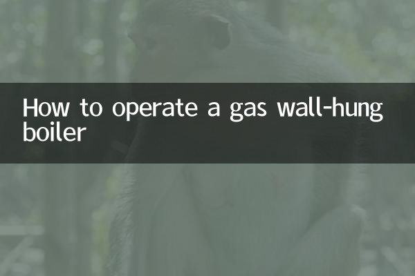 Come far funzionare una caldaia murale a gas