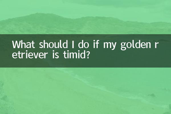 金毛胆子小怎么办