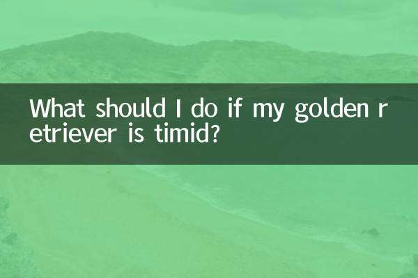 আমার গোল্ডেন রিট্রিভার ভীরু হলে আমার কি করা উচিত?