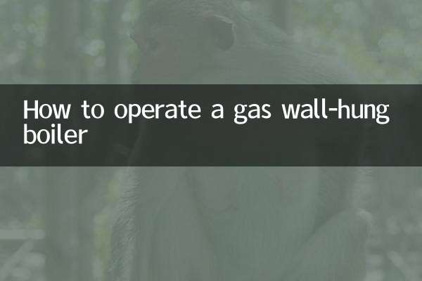 Come far funzionare una caldaia murale a gas