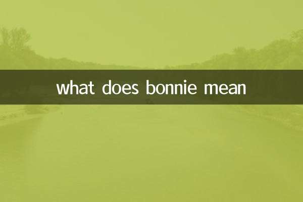 ボニーってどういう意味ですか
