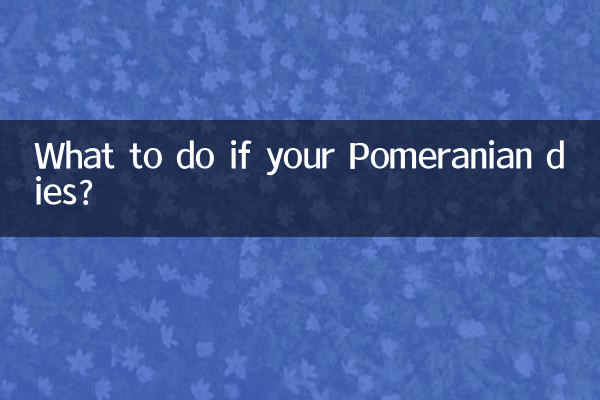 Was tun, wenn Ihr Zwergspitz stirbt?