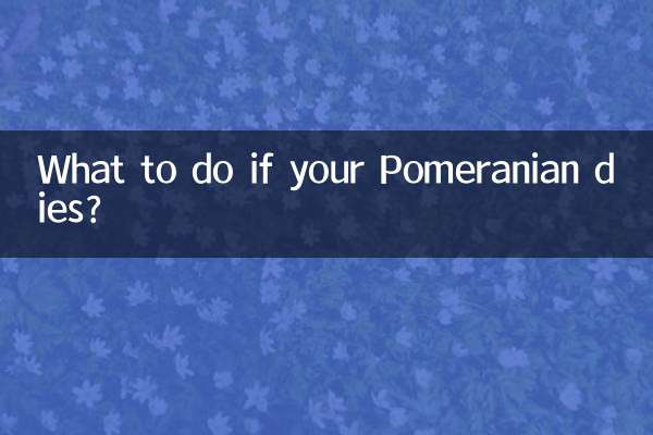 আপনার পোমেরিয়ান মারা গেলে কি করবেন?