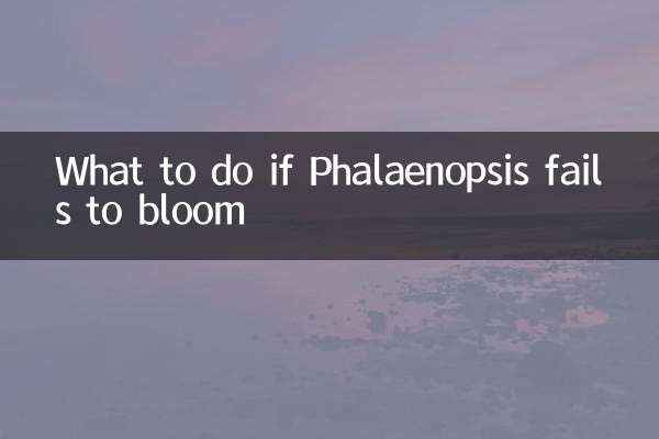 胡蝶蘭が咲かない場合の対処法