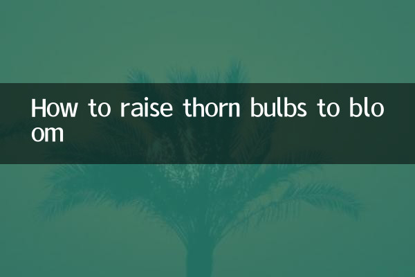 刺球怎麼養才開花