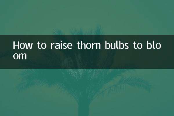 刺球怎麼養才開花