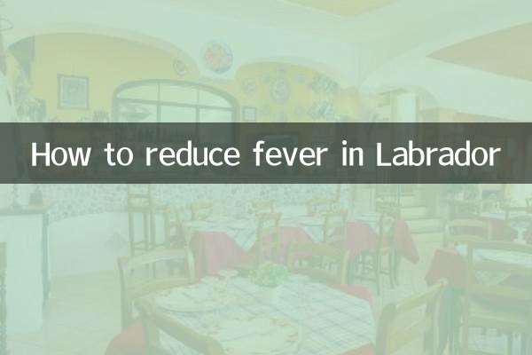 लैब्राडोर में बुखार कैसे कम करें?