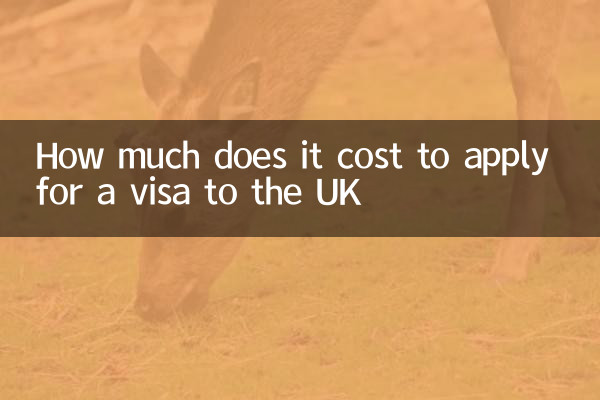 Quanto costa richiedere il visto per il Regno Unito