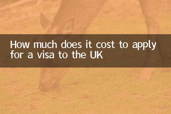Quanto costa richiedere il visto per il Regno Unito