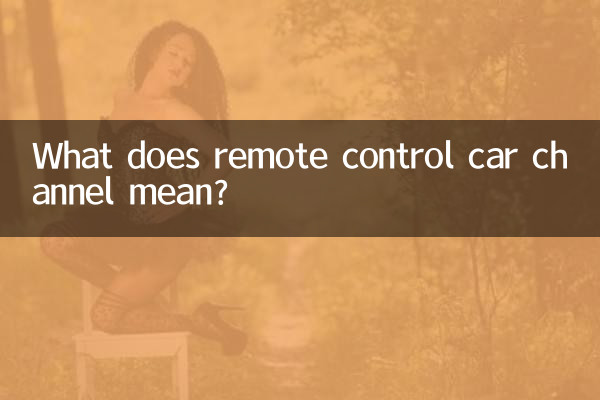 遙控車通道是什麼意思