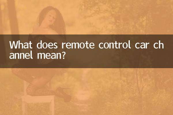 遙控車通道是什麼意思