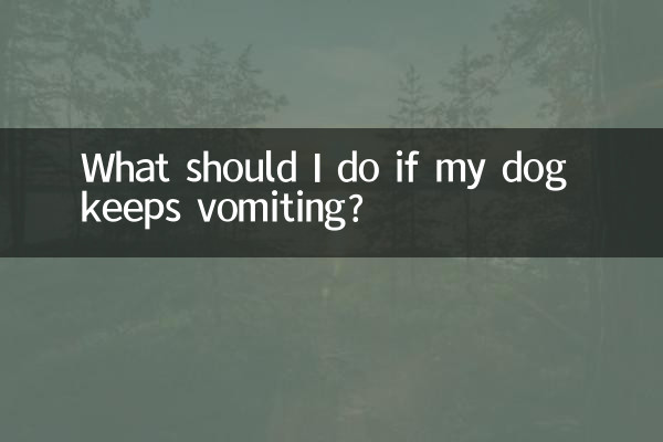 اگر سگم مدام استفراغ می کند چه کنم؟