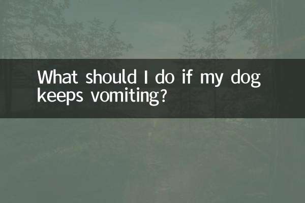 اگر سگم مدام استفراغ می کند چه کنم؟
