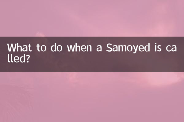 وقتی ساموید صدا می شود چه باید کرد؟