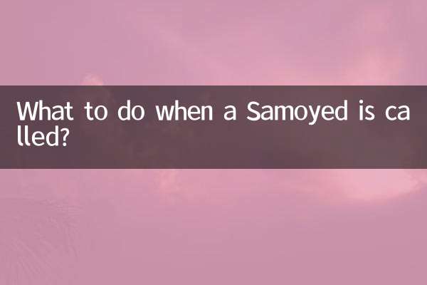 وقتی ساموید صدا می شود چه باید کرد؟