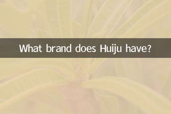 ¿Qué marca tiene Huiju?