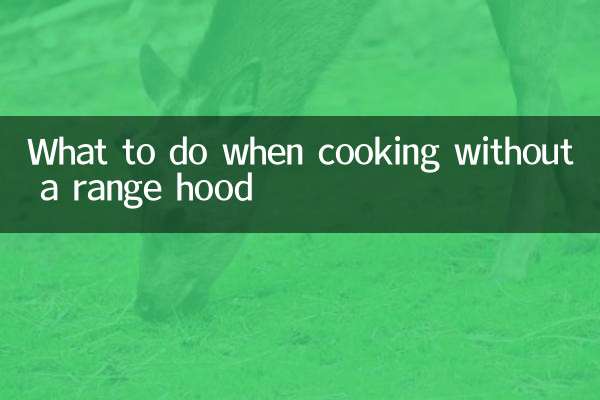 What to do when cooking without a range hood