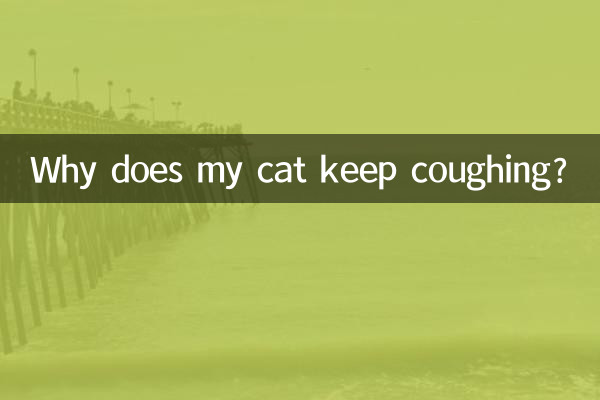 Pourquoi mon chat continue-t-il de tousser ?