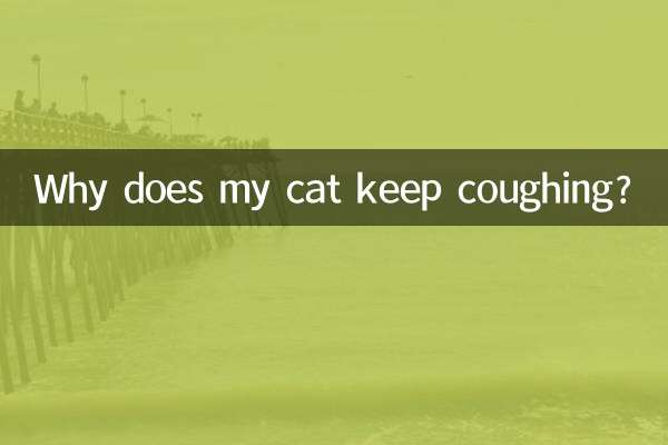 Pourquoi mon chat continue-t-il de tousser ?