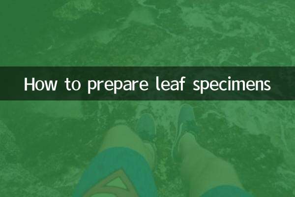 كيفية تحضير عينات الأوراق